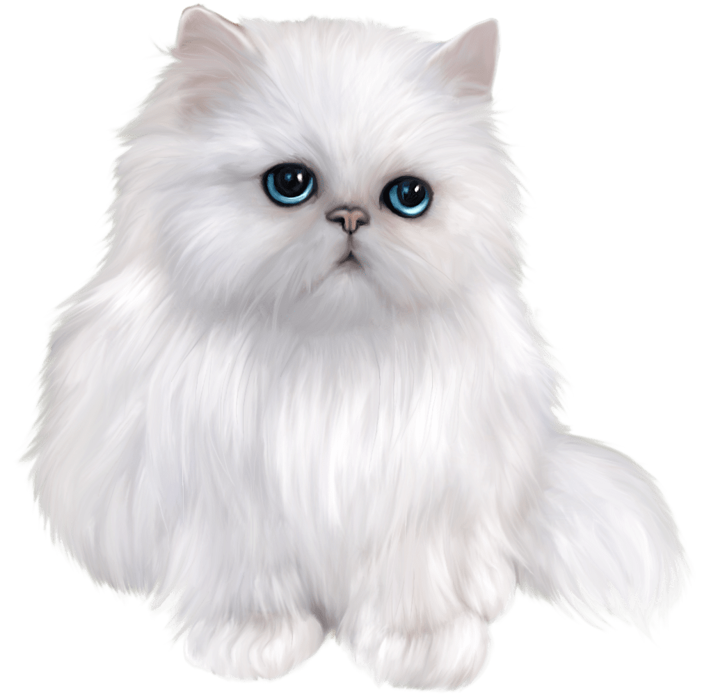 White persian cat clipart picture