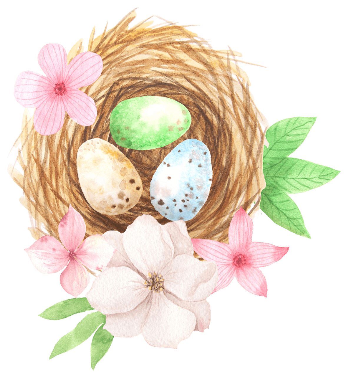 Easter clipart watercolor of bird nest with eggs and flowers free