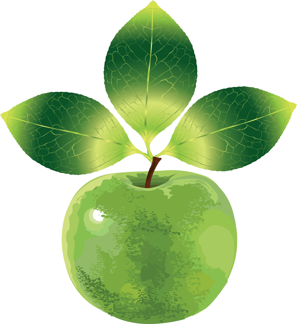 Green apple clipart free 2