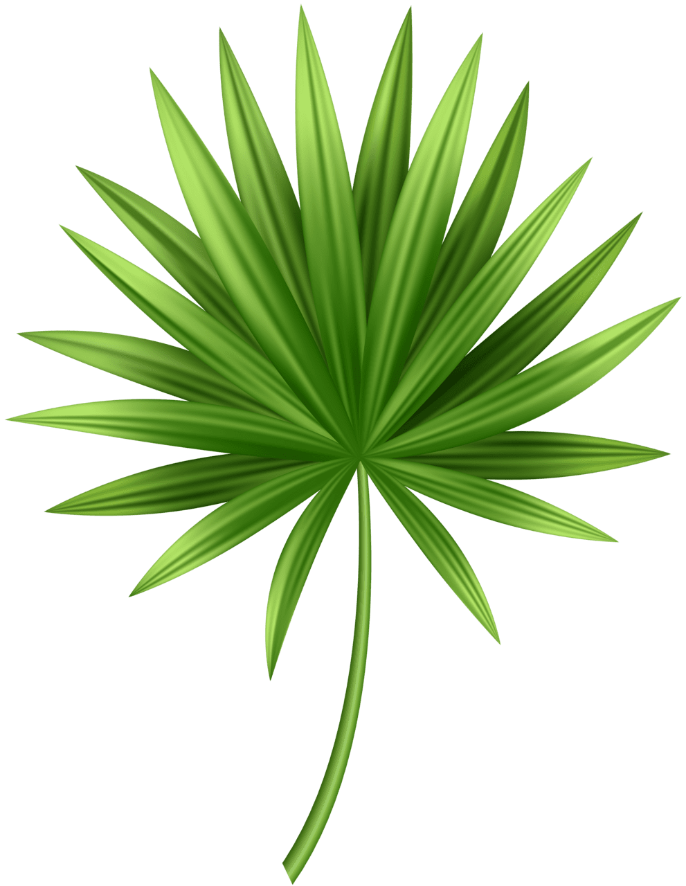 Tropical leaf clipart logo