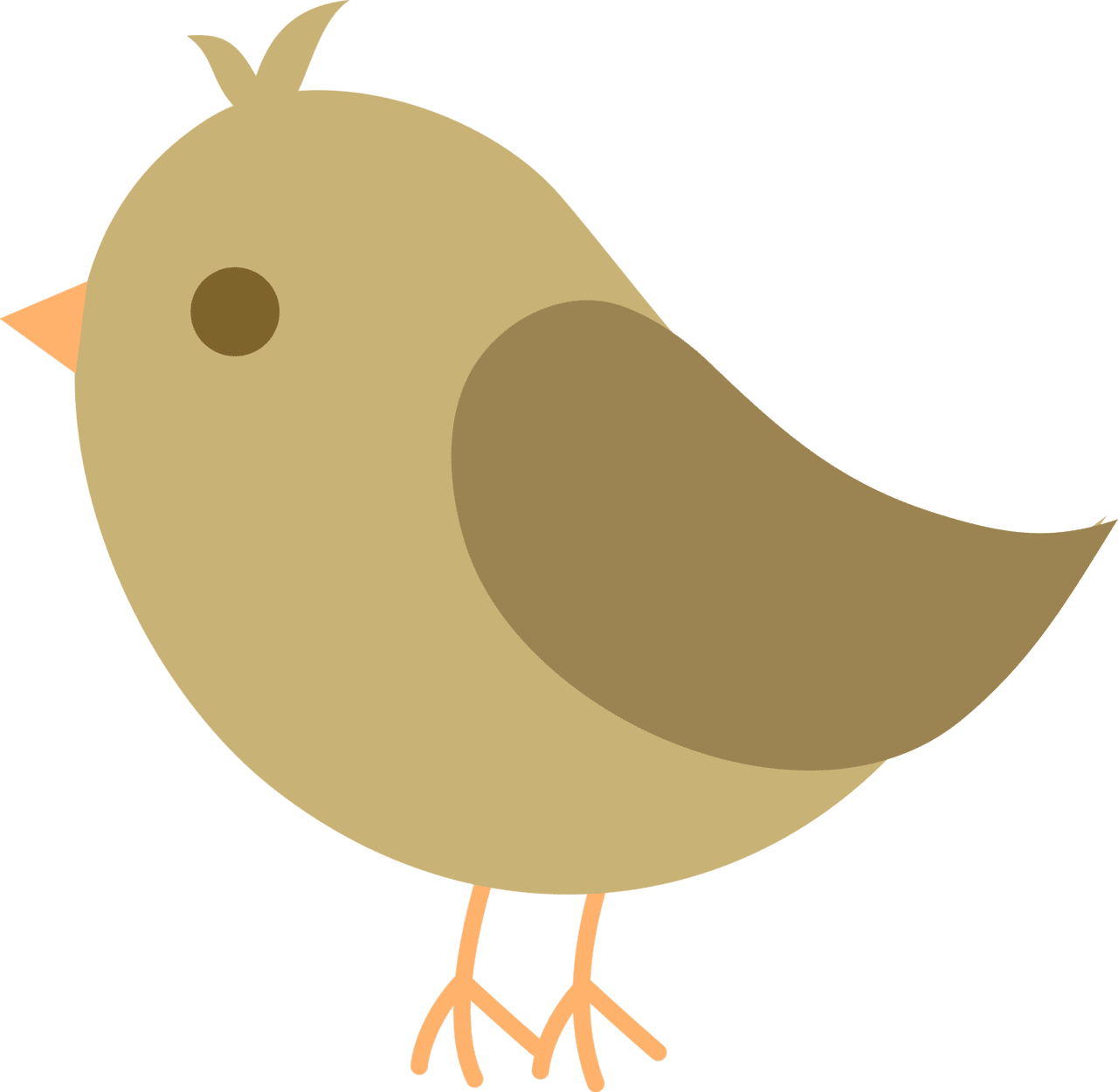 Bird page clipart free