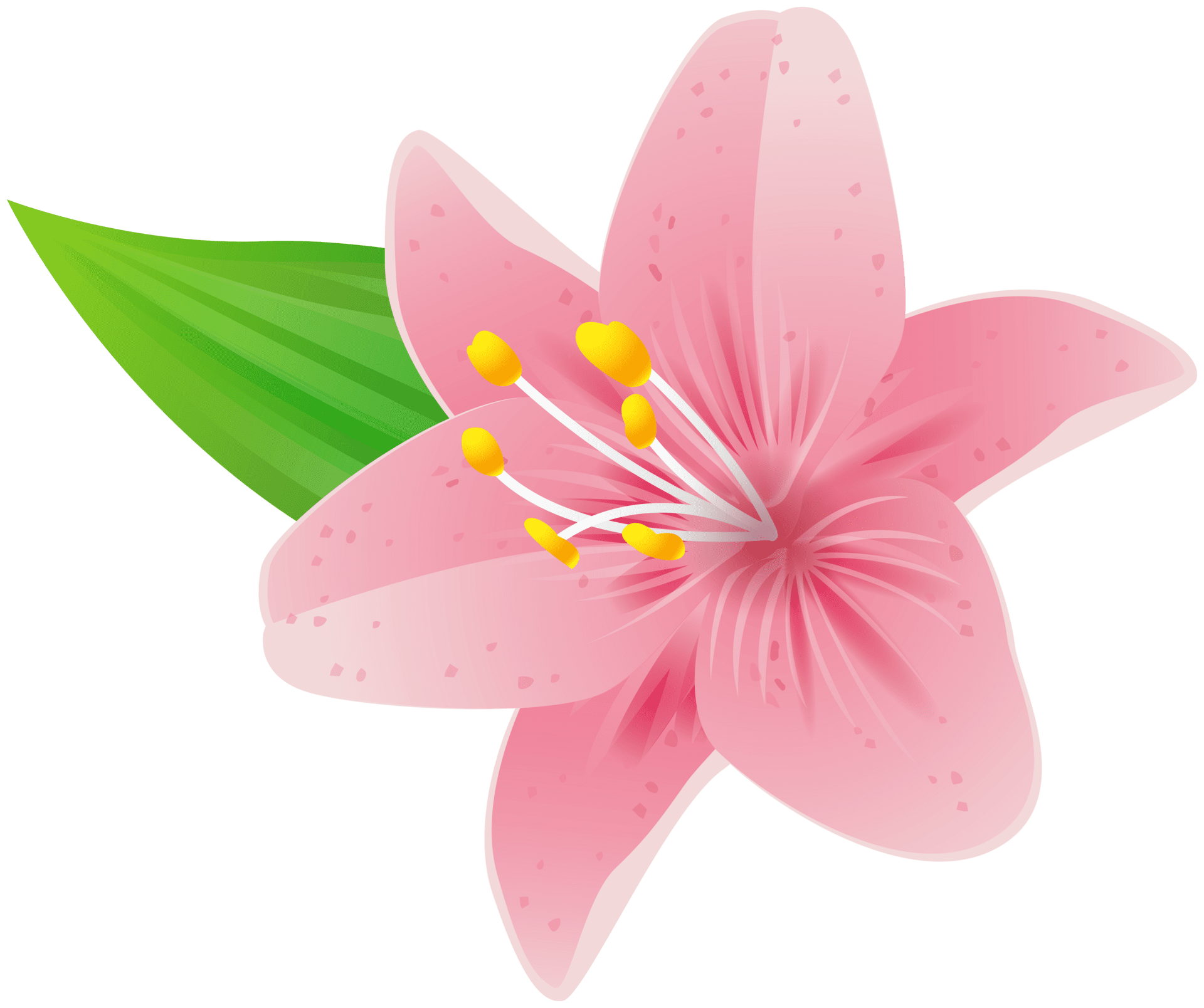 Flower clipart clip art