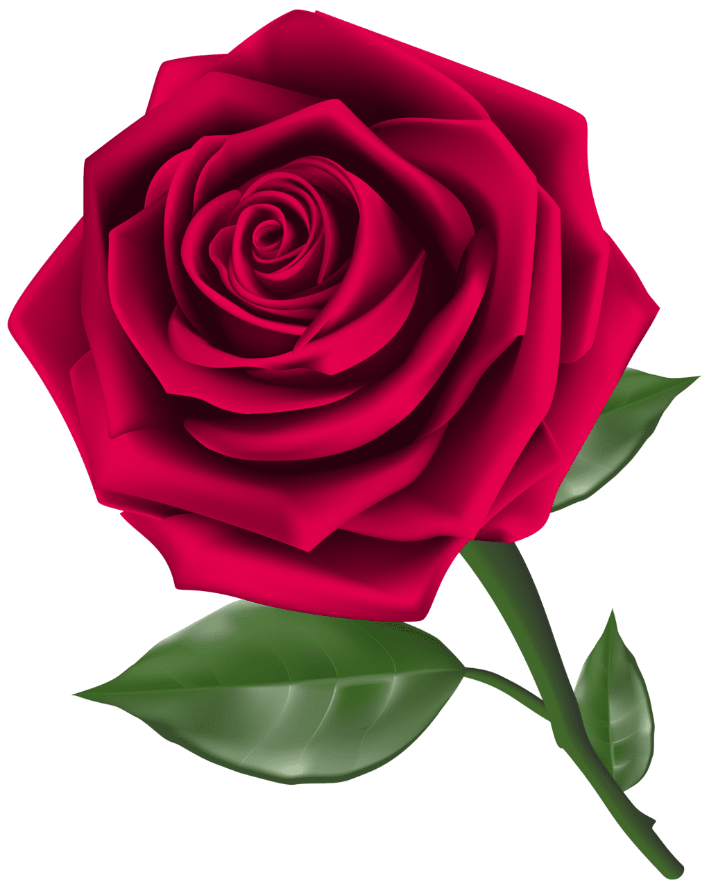 Rose steam clipart image