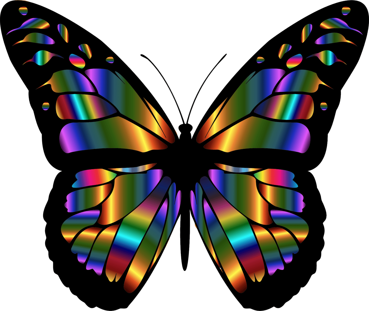 Iridescent monarch butterfly clipart transparent