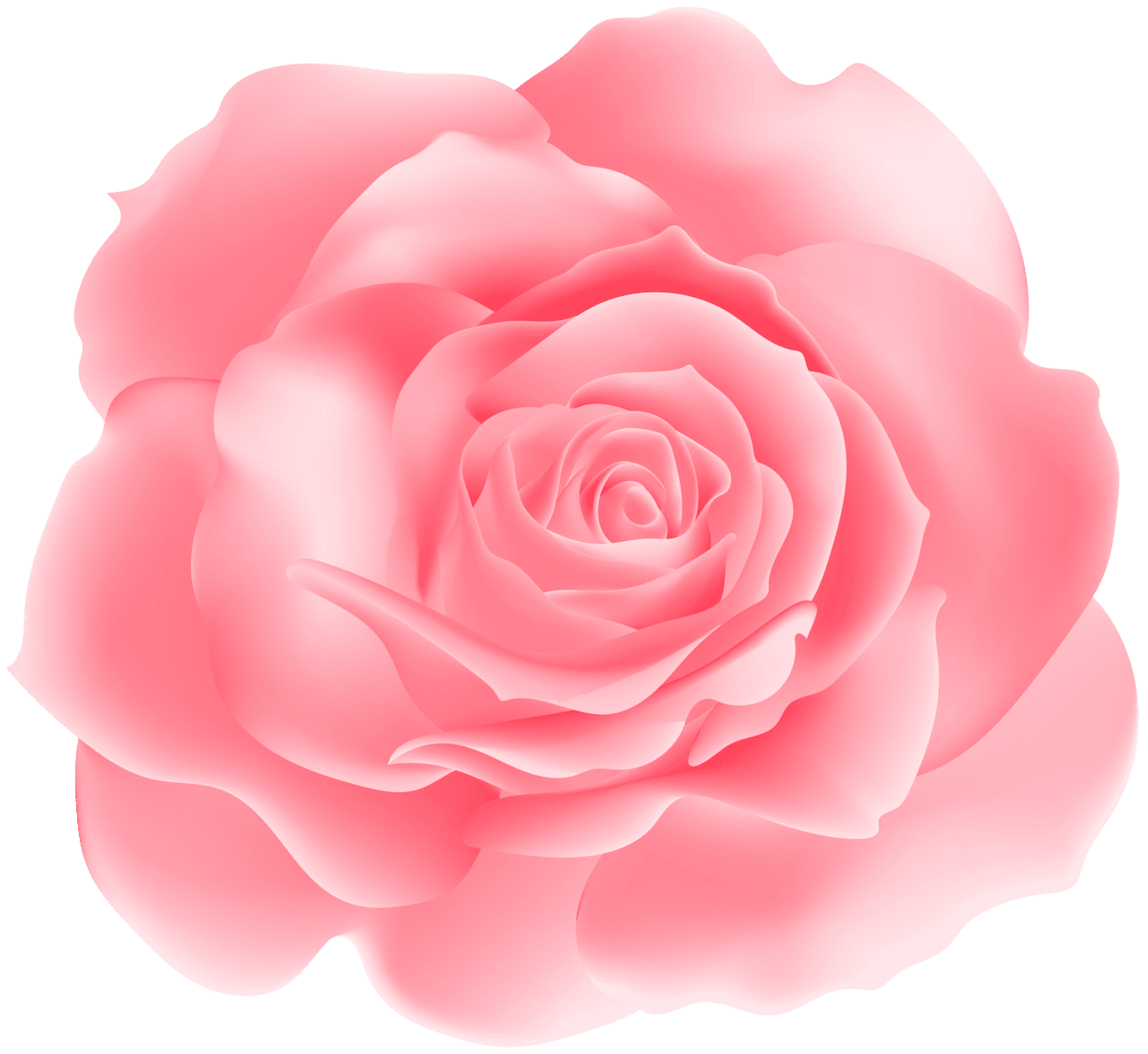 Soft pink rose clipart yopriceville high quality images and ros flower