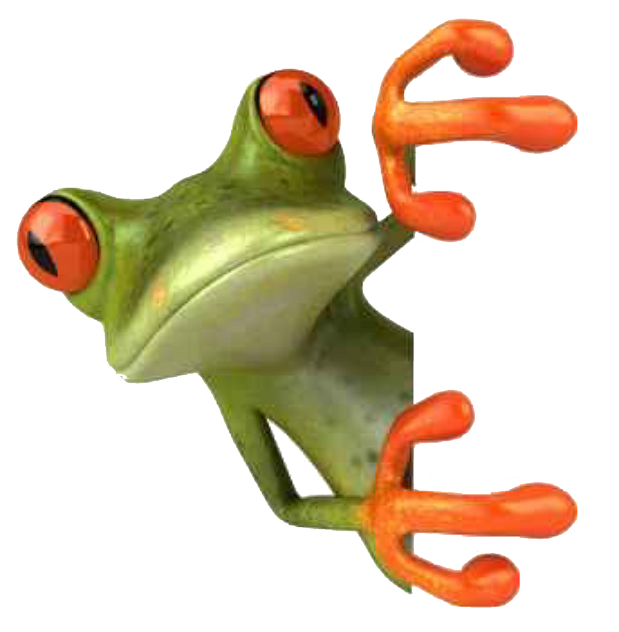 Frosch pet frog pictures funny clipart