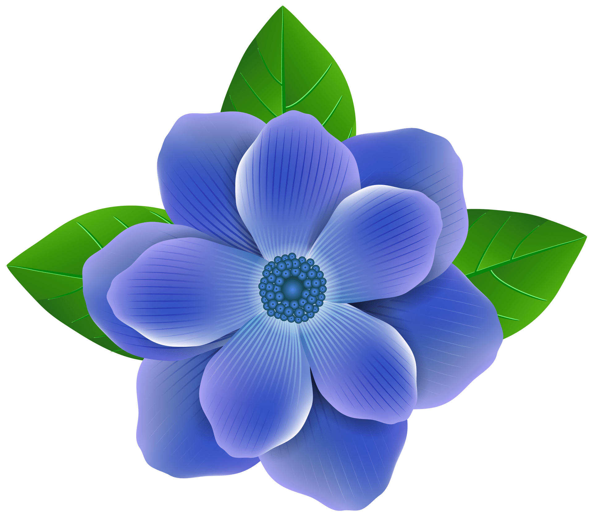 Blue flower clipart image