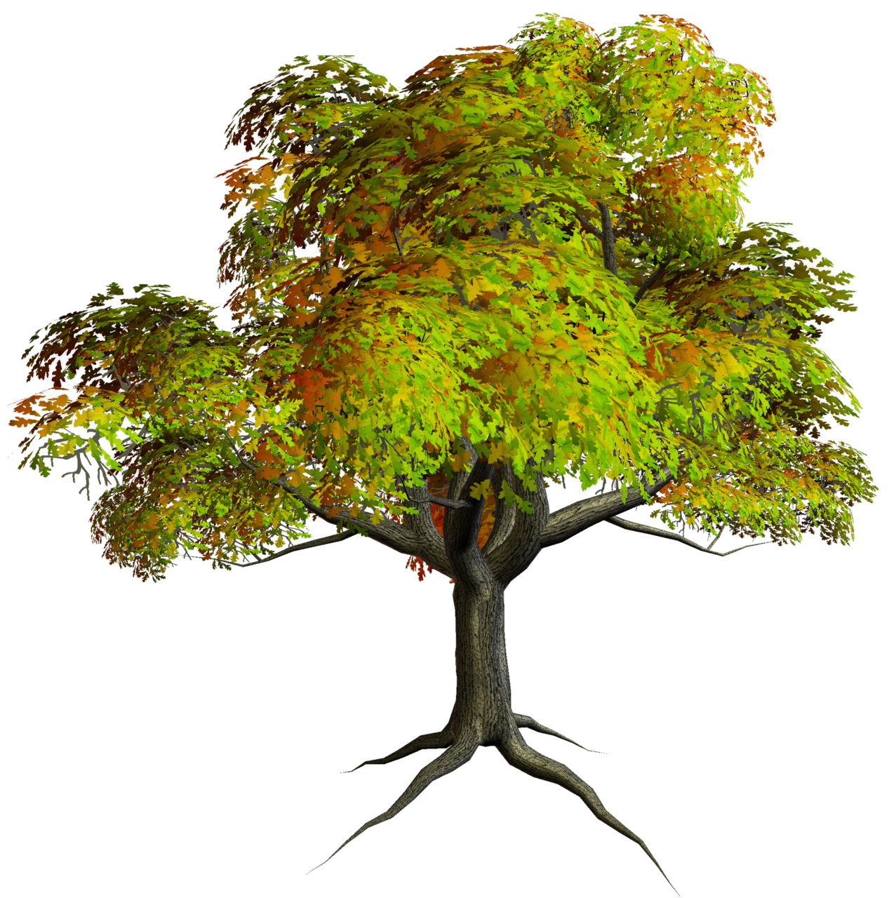 Explore nature beauty with tree images clipart