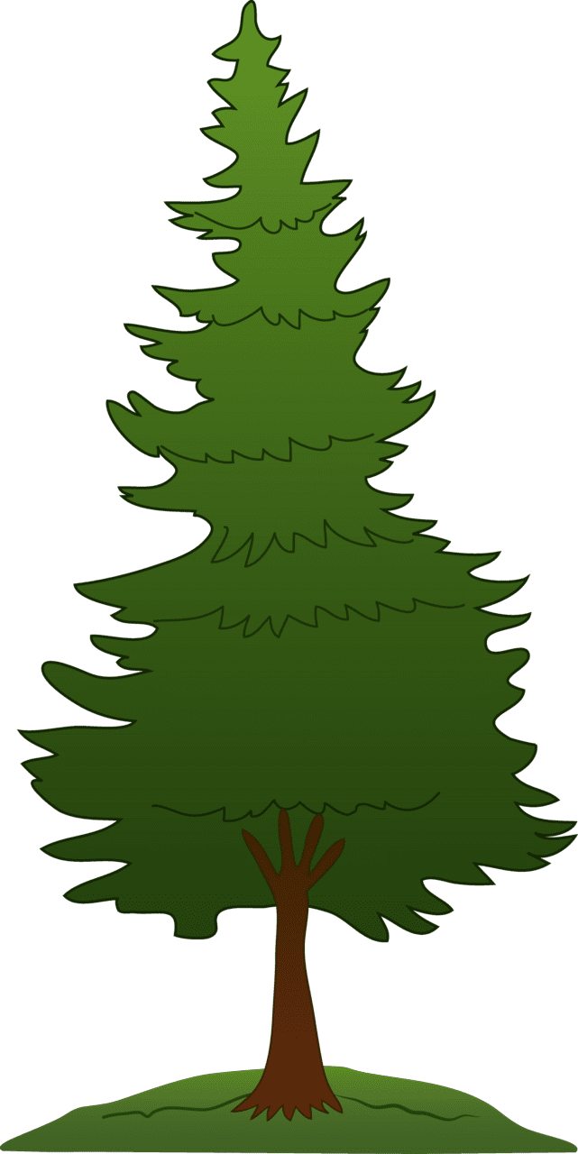 Christmas tree pine silhouette clipart photo