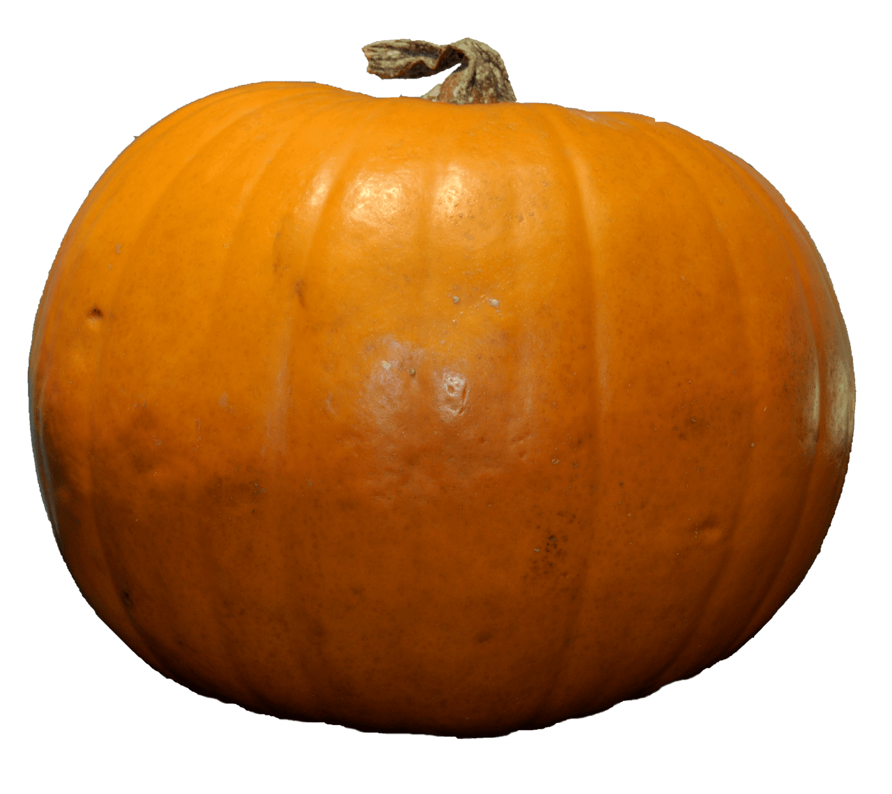 Pumpkin pin page clipart background 3