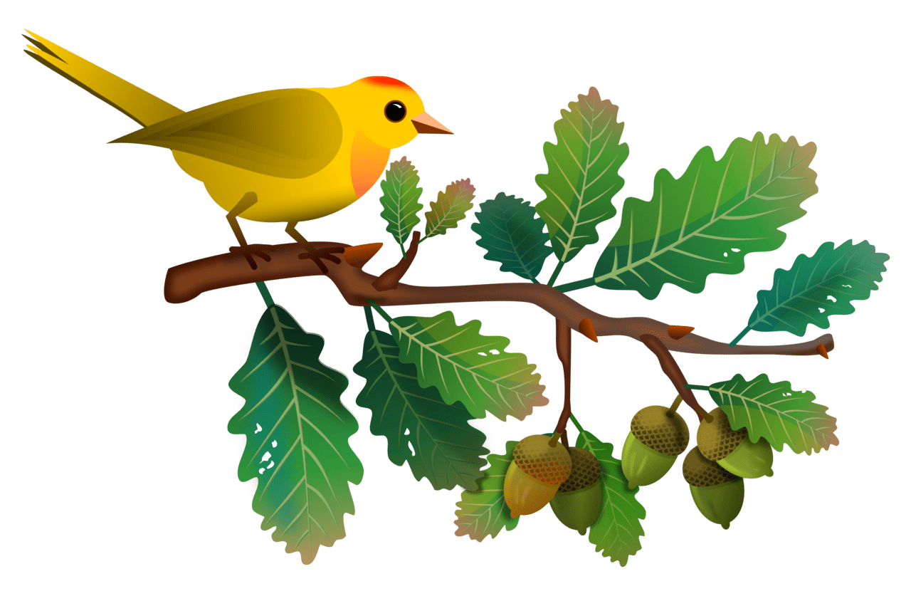 Bird pin page clipart background 5