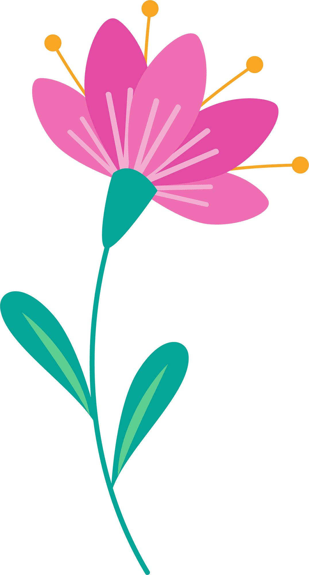 Hand drawn flower img clipart picture