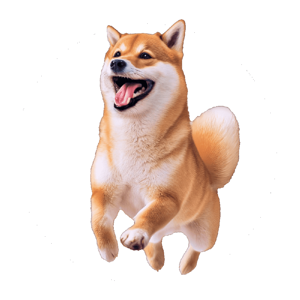 Jump dog images hd photo clipart