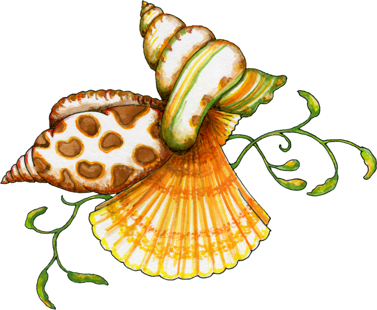 Beach sea shells graphic clipart image