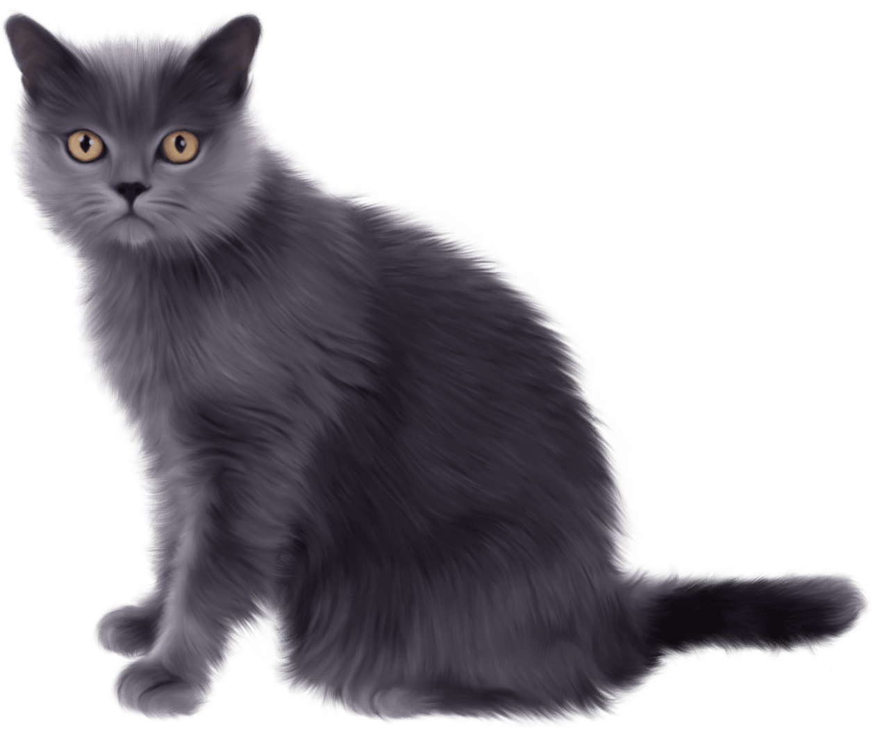 Black sitting cat clipart background