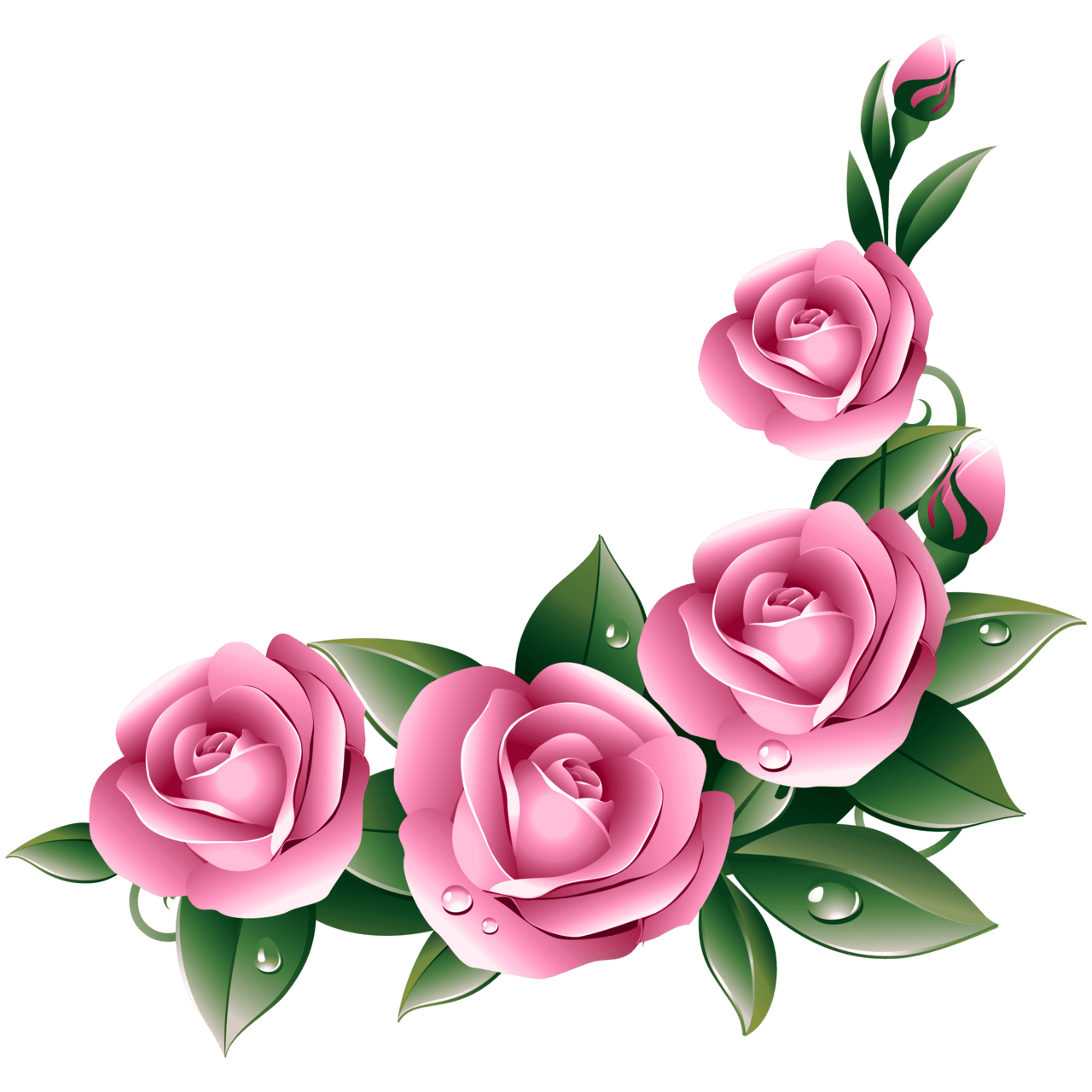 Rose flower border clipart printable background