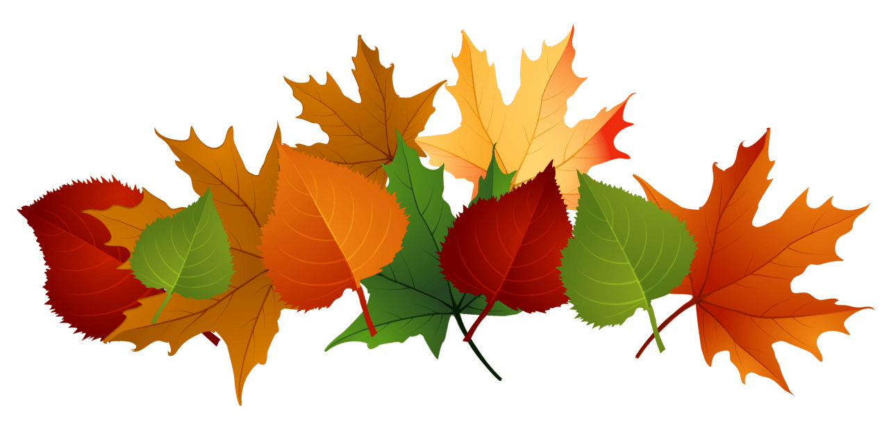 Fall leaves leaf clipart no background images 3