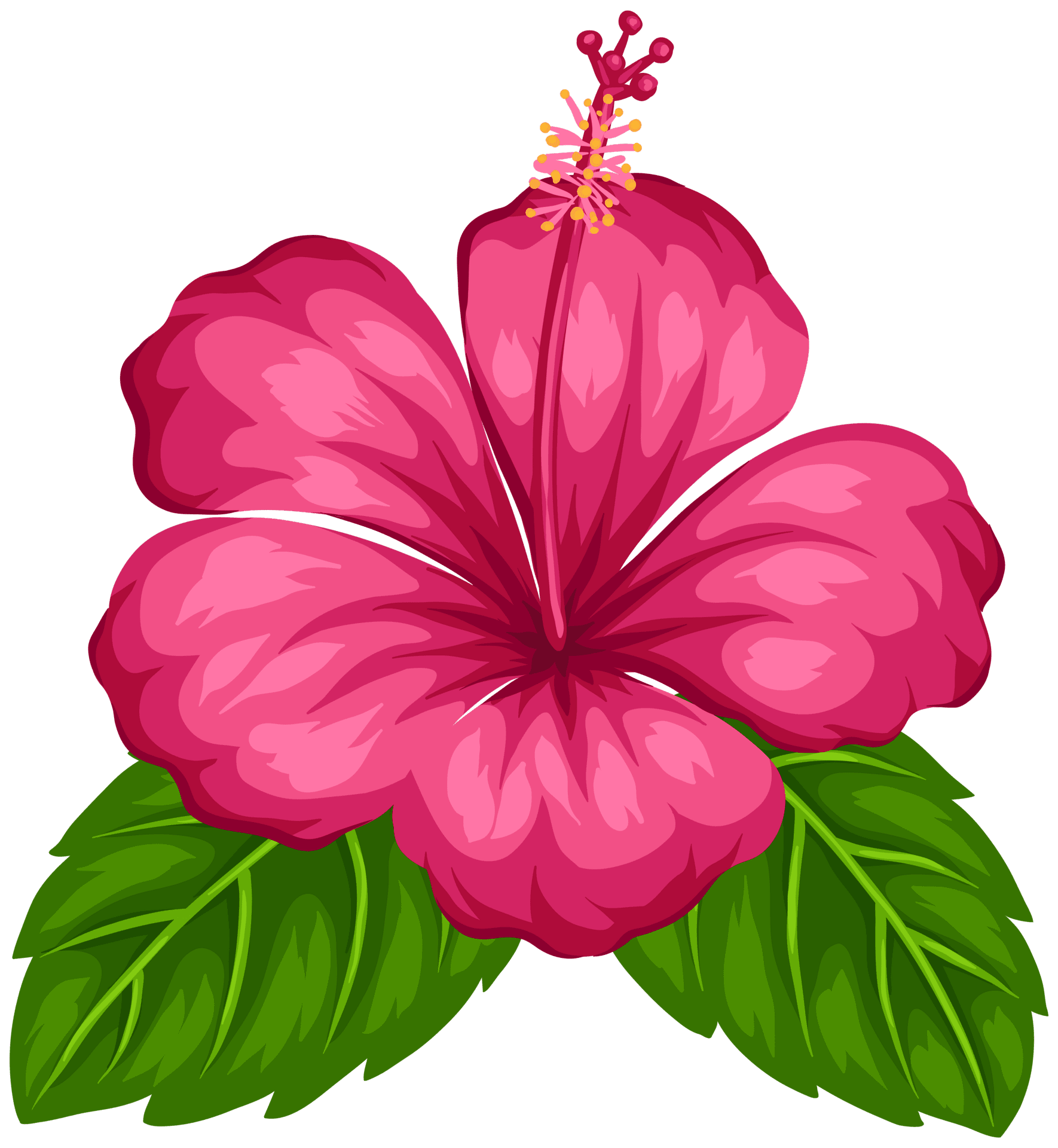 Exotic flower clipart best photo