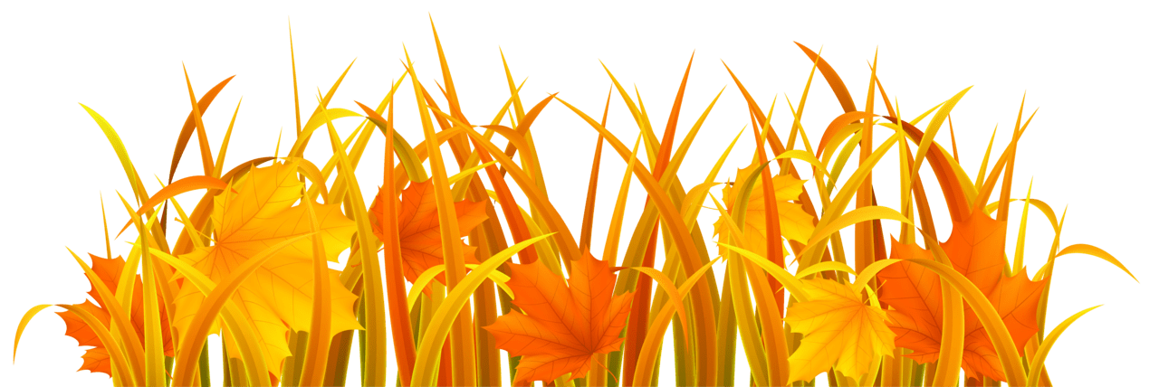 Fall autumn grass clipart image