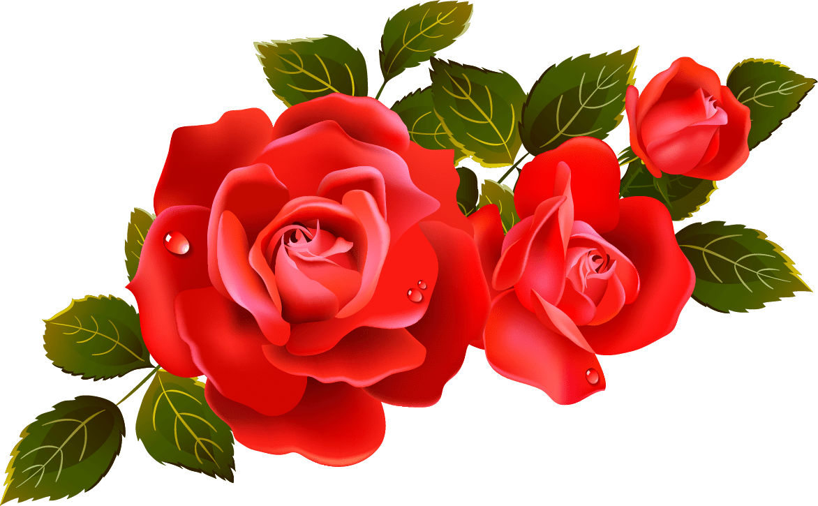 Rose by any other name clipart transparent