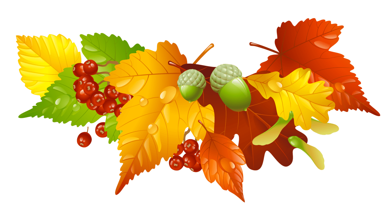 Autumn leaves and acorns decor picture acorn decorations thanksgiving clipart