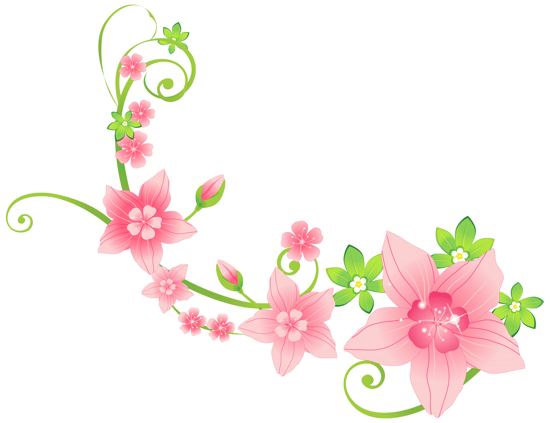 Flower pink floral decoration clipart image