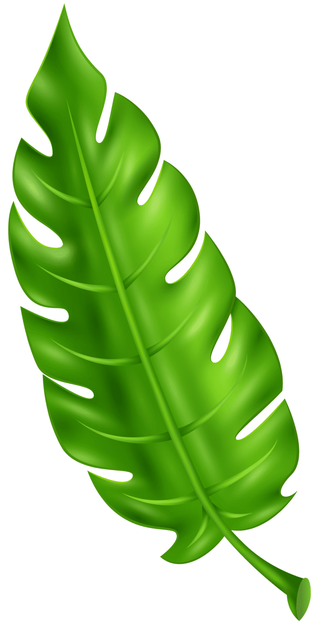 Exotic green leaf clipart image