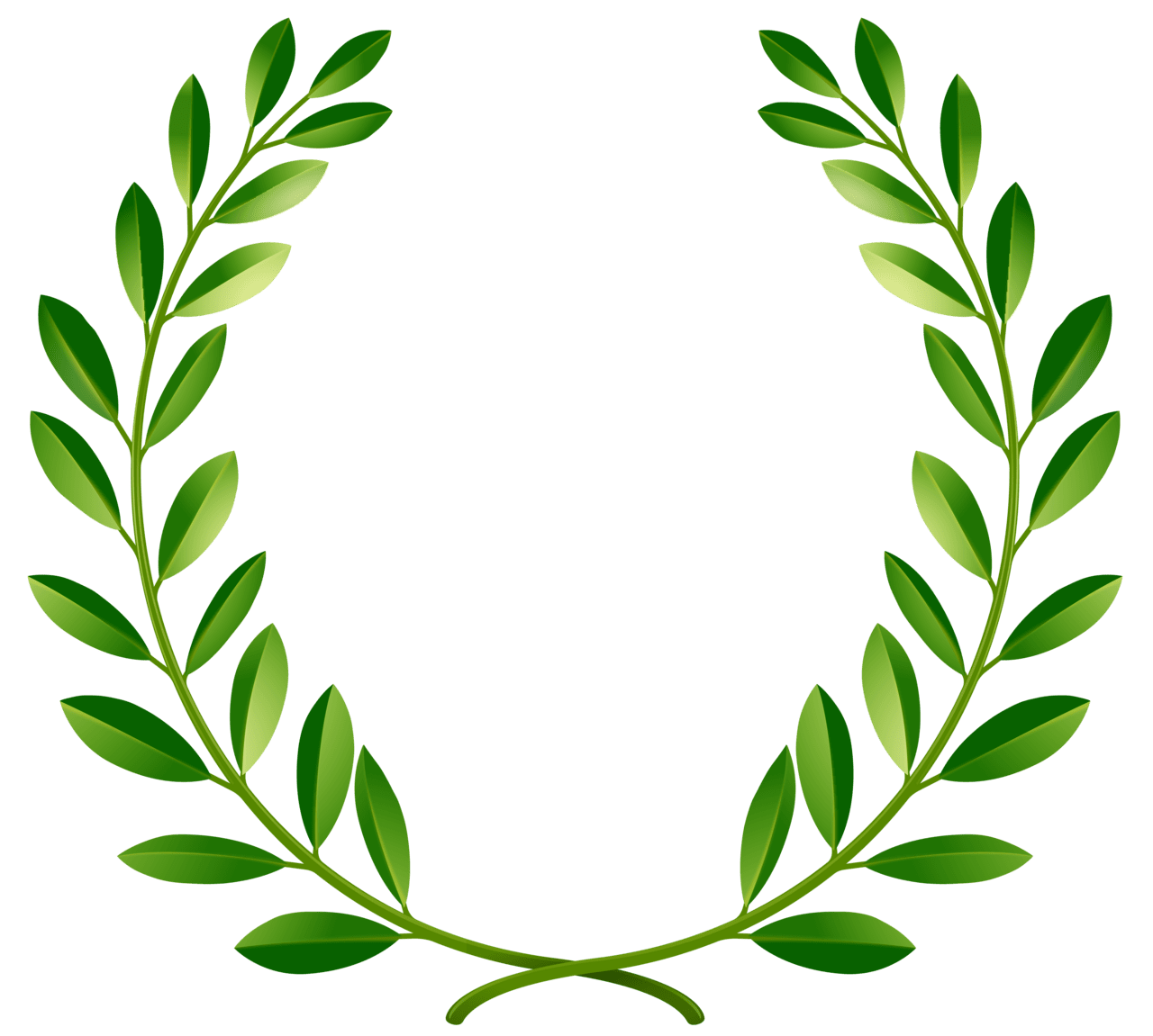 Leaf green laurel leaves clipart image