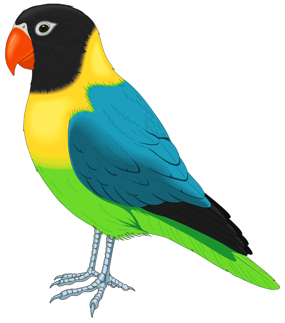 Bird image with background clipart