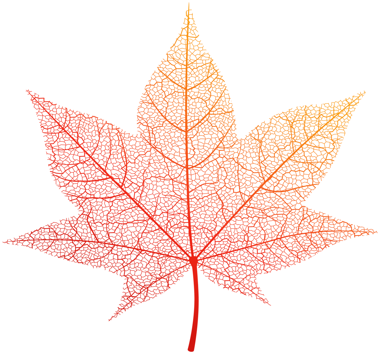 Orange autumn leaf clipart image lilien