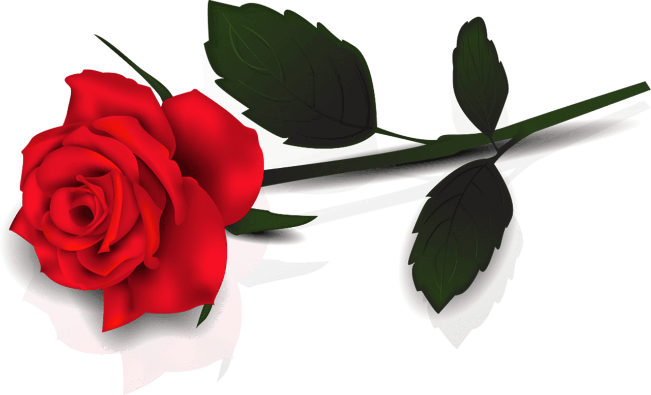 Lovely red rose clipart image