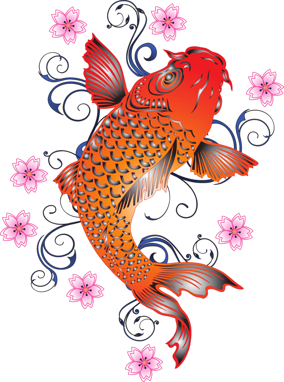 Fish clipart photo