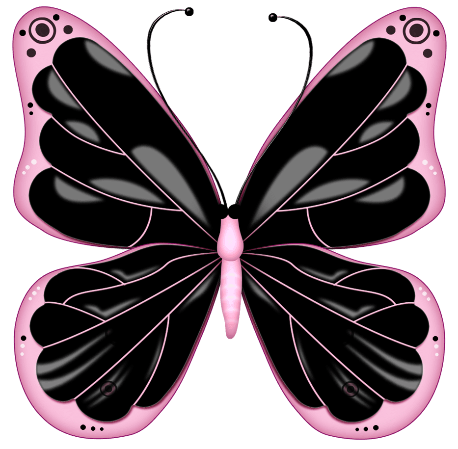 Black and pink butterfly clipart image