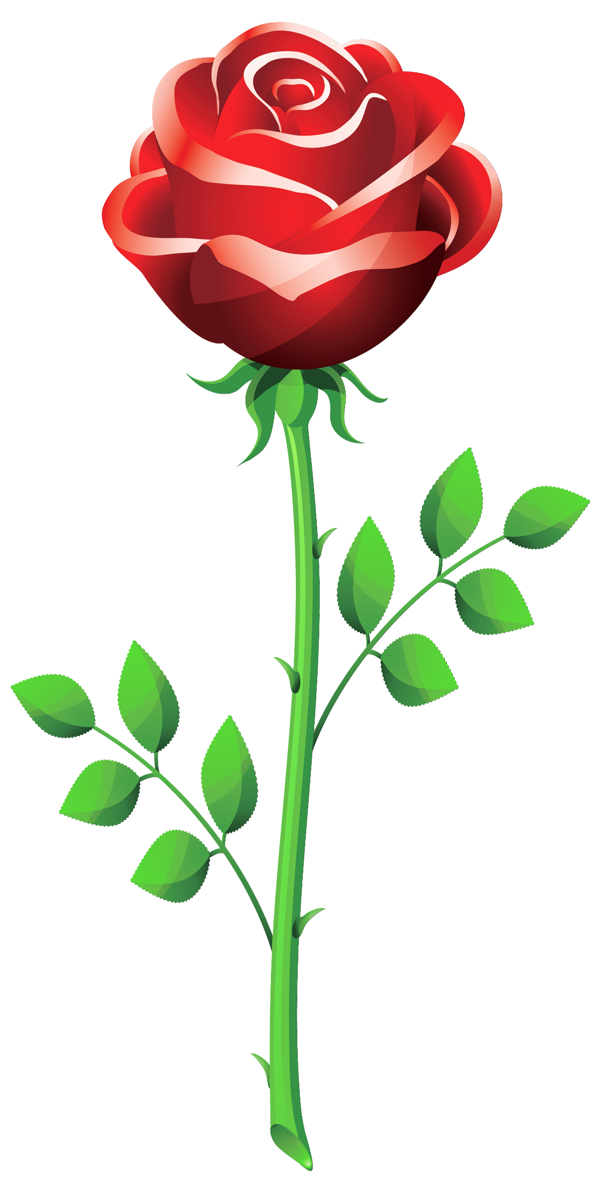 Rose clipart picture