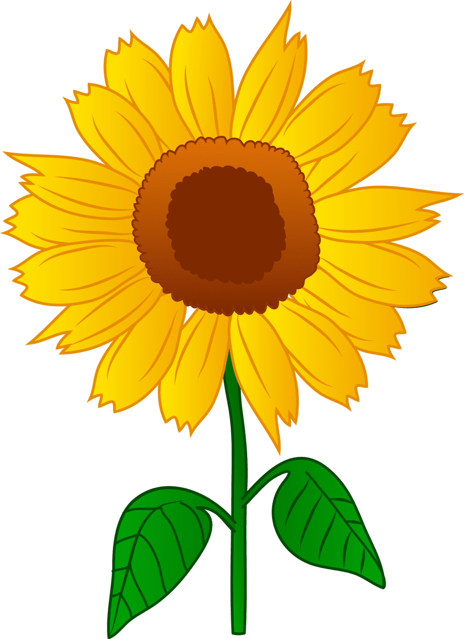 Flowers clipart images 4