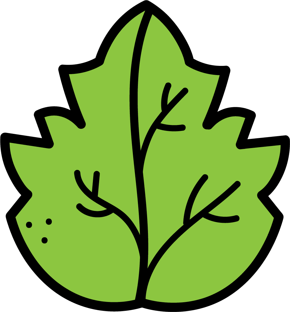 Leaf page clipart image