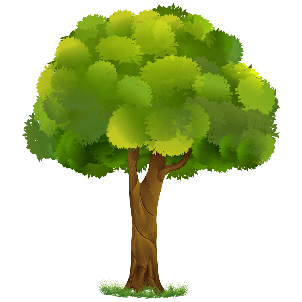 Tree clipart images hd photo