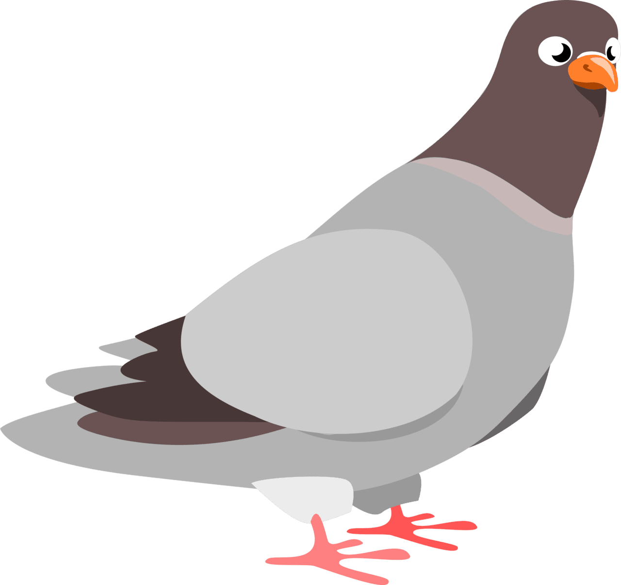 Bird clipart images