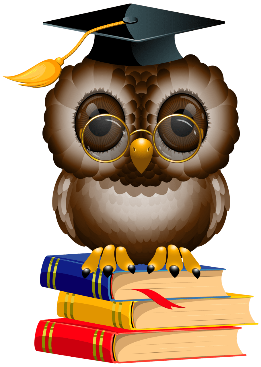 Owl with school book and cap clipart image