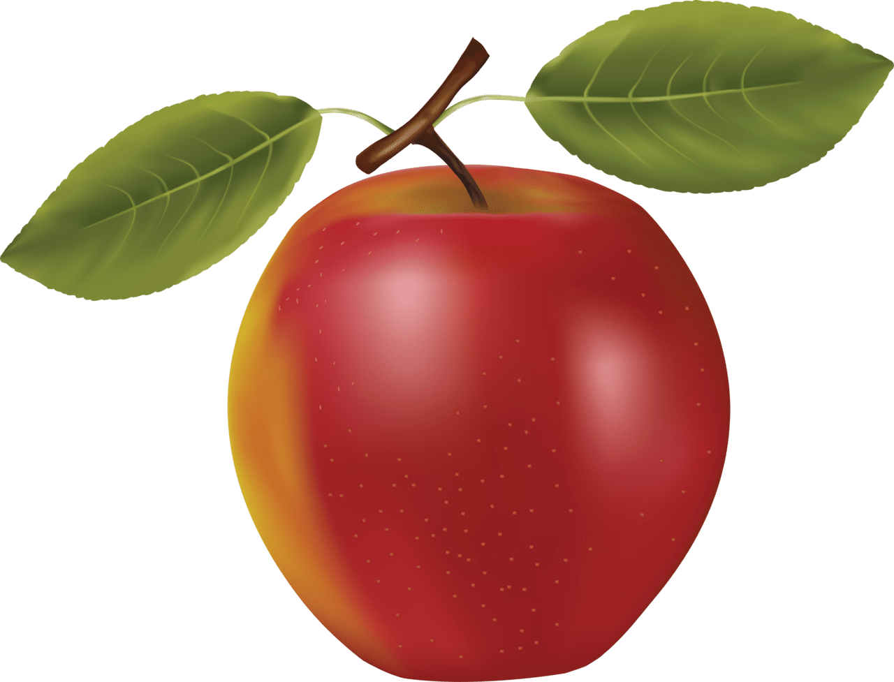 Red apple superfood fruit clipart free