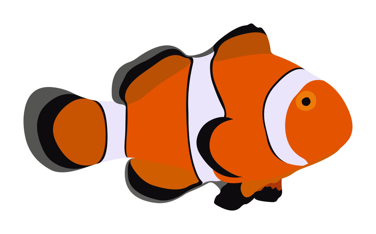 Clown fish clipart background