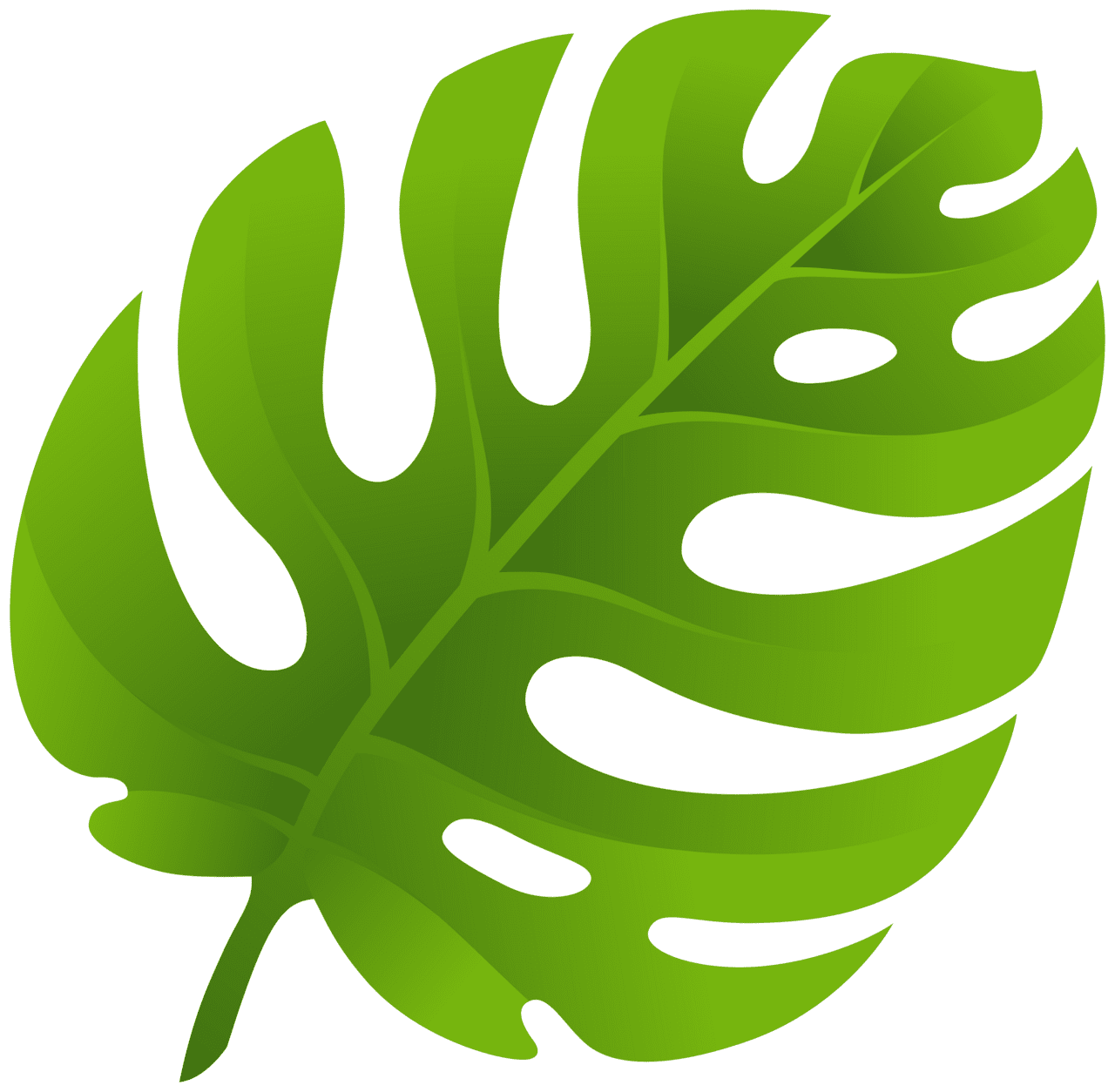 Exotic leaf clipart best background