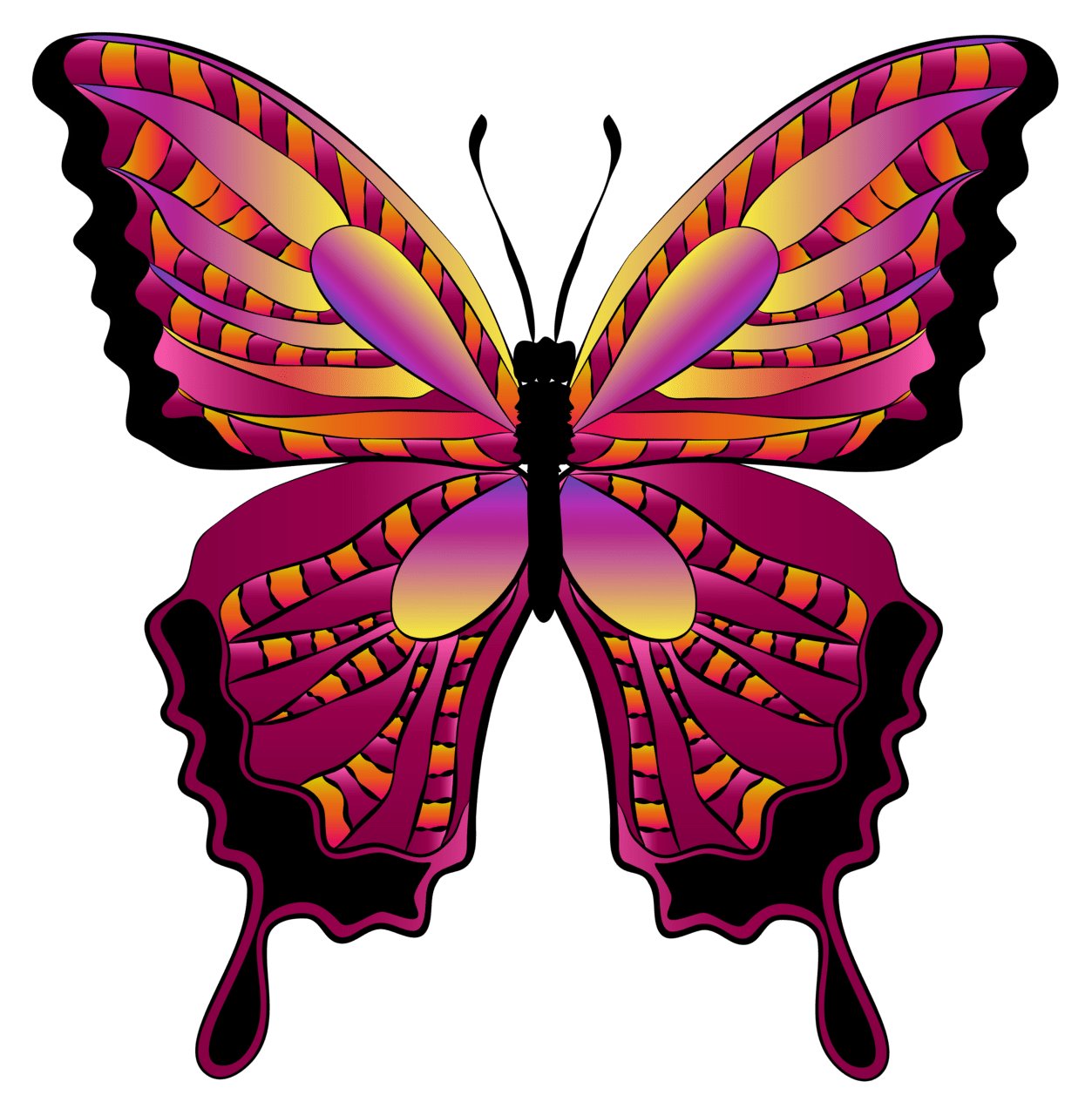 Red butterfly clipart image images art