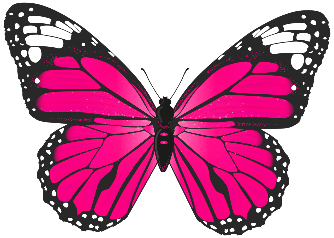 Pink butterfly clipart vector