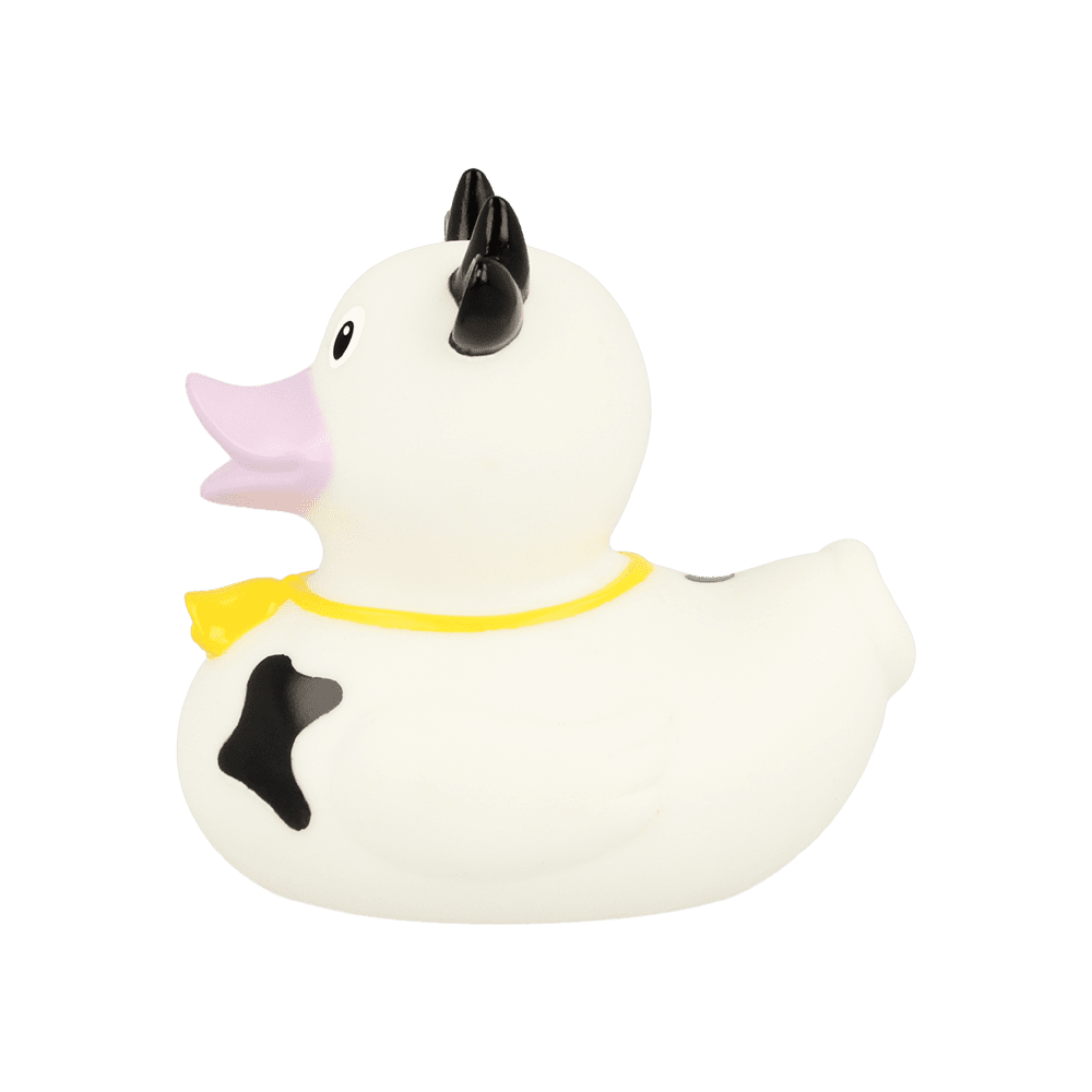 White rubber duck images hd photo clipart