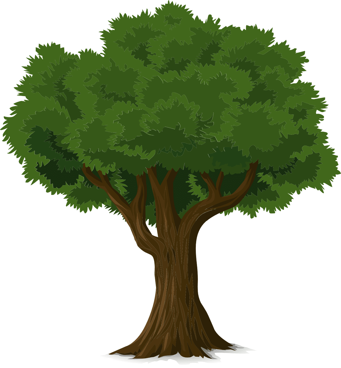 Tree trunk leaves vector graphic clipart