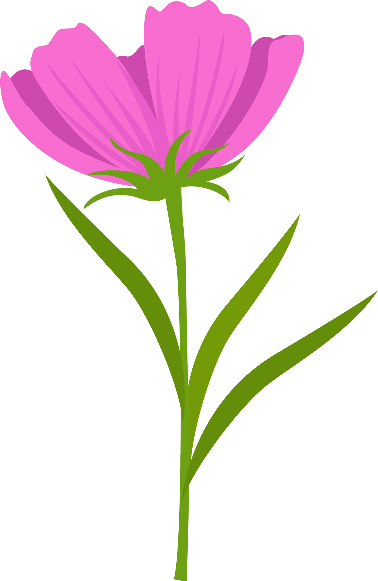 Clipart spring flower vector