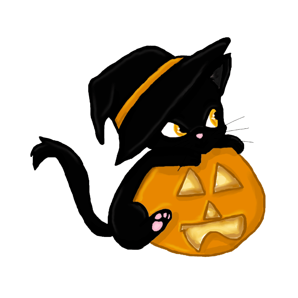 Halloween black cat images hd photo clipart