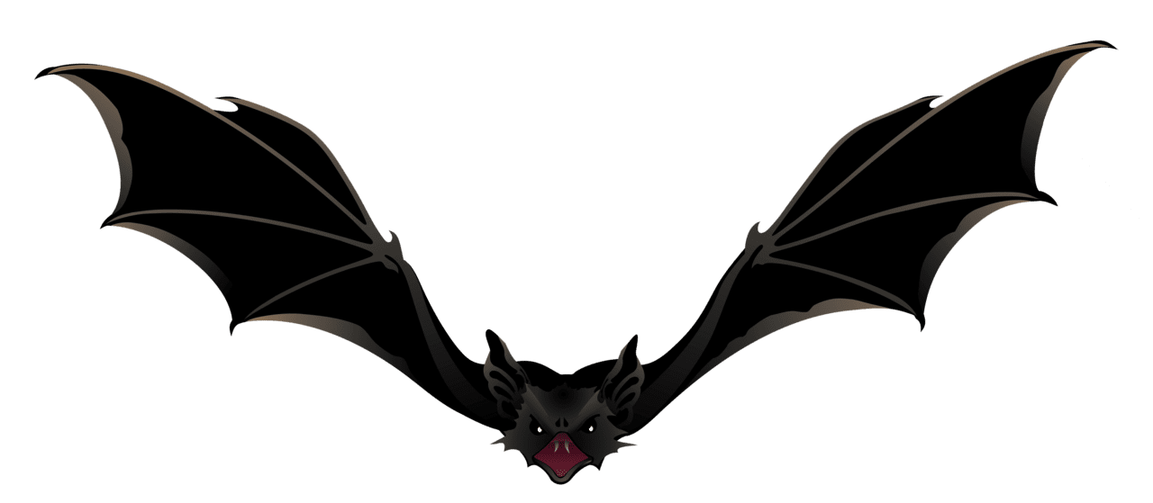 Creepy bat picture clipart