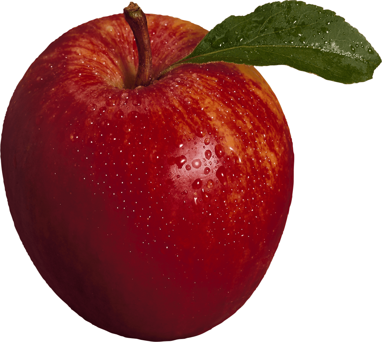 Red apple image for clipart 5